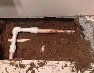 珠海市测漏水哪家好