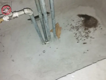 珠海市卫生间测漏水价格明细