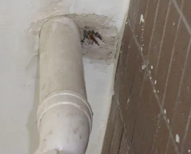 珠海市漏水检测哪家好